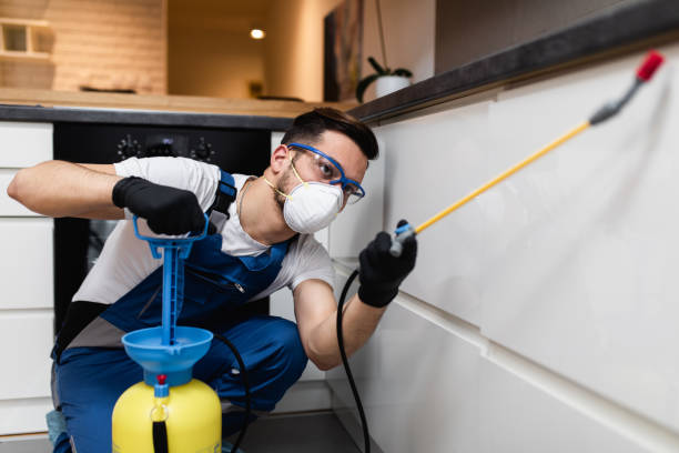 Best Cockroach Control Services  in Pilot Mountain, NC