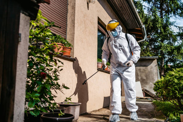 Best Flea Control Services  in Pilot Mountain, NC