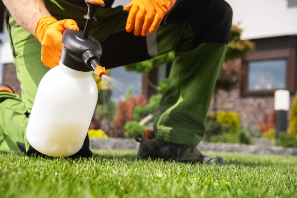 Best Bed Bug Extermination  in Pilot Mountain, NC