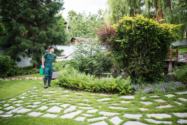 Best Wasp Removal Services  in Pilot Mountain, NC