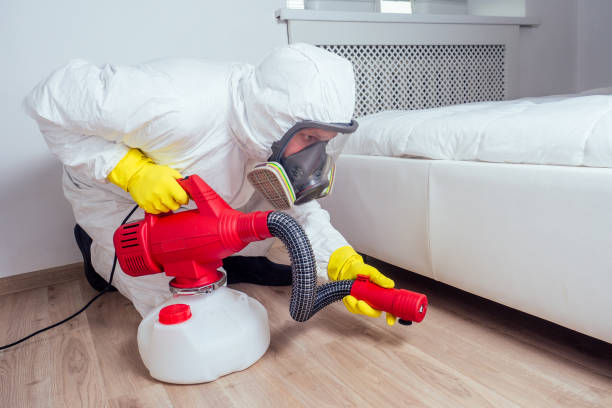 Best Pest Control Treatment  in Pilot Mountain, NC