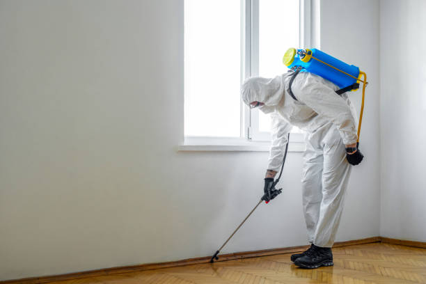 Best Commercial Pest Control Services  in Pilot Mountain, NC