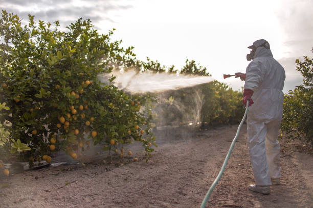 Best Exterminator Services  in Pilot Mountain, NC