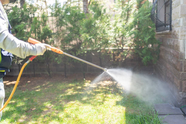Best Termite Control Services  in Pilot Mountain, NC