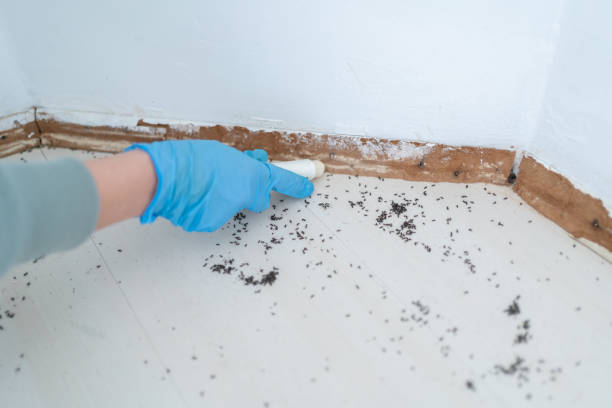 Best Wildlife Control Services  in Pilot Mountain, NC